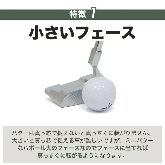 匠ミニパター「スピンコントロール」085BF04N.　/ 練習 本番 テクニック向上 極小ヘッド ヘッド小さめ ミニパター 軟鉄削り出し 東邦ゴルフ