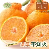 【先行予約】有田育ちの濃厚不知火(ご家庭用)(通称デコポン)　約1.2kg　【ard208】