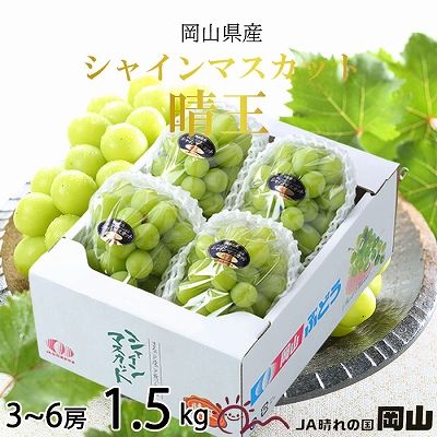 【2026年8月下旬より発送】岡山県産 シャインマスカット 晴王 1.5kg(3房～6房) ぶどう 葡萄 ブドウ フルーツ 果物