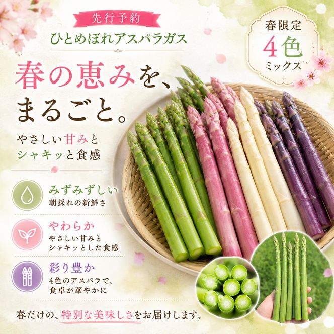 【先行予約】春限定 ひとめぼれアスパラガス 1kg 4色 食べ比べ グリーン パープル ピンク ホワイト 産地直送 農家直送 野菜 新鮮 旬 アスパラ 春野菜 サラダ カラフル バーベキュー BBQ おすそ分け ファミリー 大容量 ギフト 送料無料