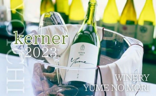 【数量限定】余市「ワイナリー夢の森」ケルナー2023 750ml 《３本セット》_Y034-0120