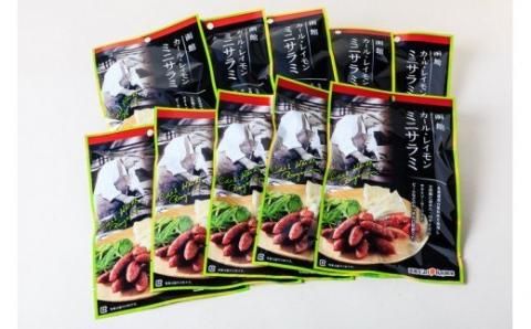 【函館カール・レイモン　ミニサラミ10個セット_HD052-011】 函館 カールレイモン ミニサラミ 30g 10個セット サラミ さらみ ギフト ソーセージ チョリソー 個包装 国産 北海道 ポーク あらびき 粗挽き ウィンナー 食品 豚肉 牛肉 肉 ドイツ はこだて 日本ハム ニッポンハム 簡単調理 おつまみ つまみ 送料無料 7686847