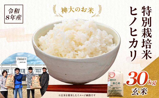 米 令和8年産 神大のおこめ（特別栽培米ヒノヒカリ）玄米30kg お米