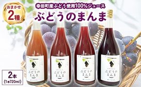 幸田町産ぶどう使用100％ジュース 2種詰め合わせ （720ml × 2本） ｜ 無添加 無糖 無加水 巨峰 ベリーA 甲斐路 デラウェア 送料無料