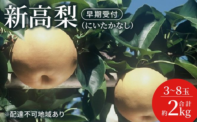 梨 早期受付 新高 梨 （にいたかなし）3～8玉 合計約2kgなし ナシ 岡山県産 国産 フルーツ 果物 ギフト桃茂実苑 果物類 先行予約