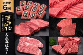 肉 博多和牛 人気部位 セット 6回 定期便 牛肉 [久田精肉店 福岡県 宇美町 um40bsi440054] 牛肉 和牛 国産 うし お肉 ステーキ 焼肉 赤身 小分け スライス シャトーブリアン ハンバーグ ヒレ ロース サーロイン 冷凍
