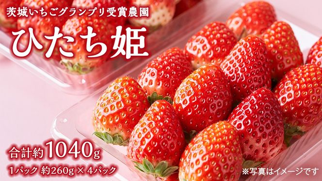 y錧}szy 邢Ov  _ z n ЂP 4pbN 錧IWii C`S  t[c ʕ ʎ [DY004ci]