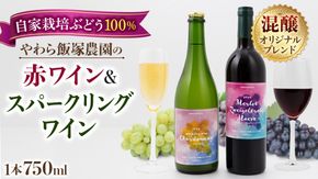 地元農家が作る つくばみらい市産 ぶどう を使った 赤ワイン・スパークリングワイン各1本 計2本セット ワイン お酒 酒 フルーツ 果物 果実酒 ブドウ おつまみ 贈り物 お取り寄せ プレゼント 記念日