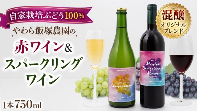 地元農家が作る つくばみらい市産 ぶどう を使った 赤ワイン・スパークリングワイン各1本 計2本セット ワイン お酒 酒 フルーツ 果物 果実酒 ブドウ おつまみ 贈り物 お取り寄せ プレゼント 記念日