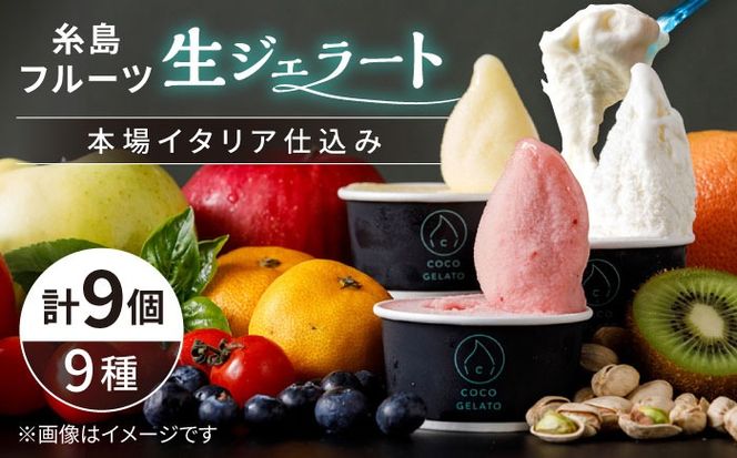 糸島 フルーツ 生ジェラート 9個セット 糸島市 / COCO GELATO [AON001] ジェラート フルーツ 果物 アイス アイスクリーム 濃厚
