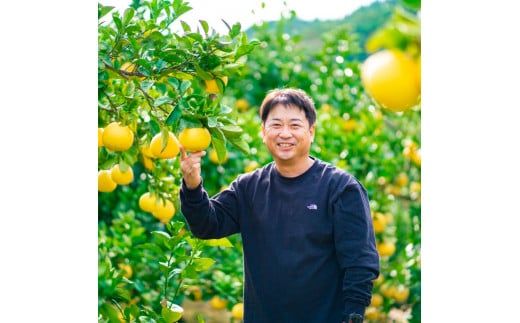 【先行予約】園主こだわりの土佐文旦 5キロ 大小混合（４L～Mサイズ） 2027年1月下旬より順次発送 ぶんたん ブンタン 柑橘 みかん フルーツ 果物 家庭用 お取り寄せ 土佐 高知【やの一果彩】 [BQAC013]
