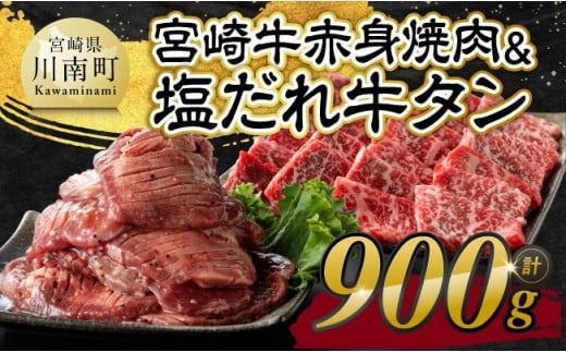 ※発送時期が選べる※宮崎牛赤身焼肉&塩だれ牛タン 計900g [ 肉 宮崎牛 赤身 牛肉 牛たん たん 厚切り 塩ダレ 塩だれ タン 味付き BBQ 焼肉 焼き肉 焼くだけ おかず 簡単調理 ][E11147]