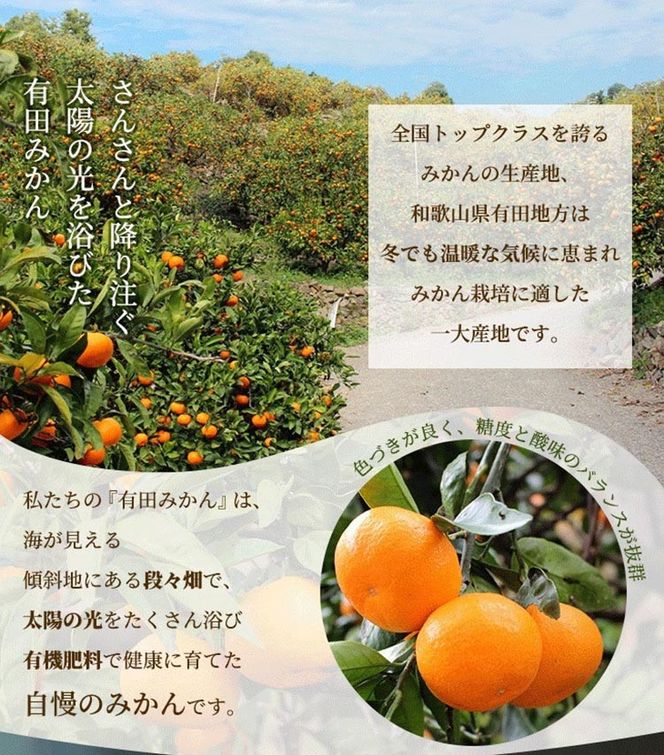 家庭用 完熟 有田みかん1kg+250g（傷み補償分）サイズ混合