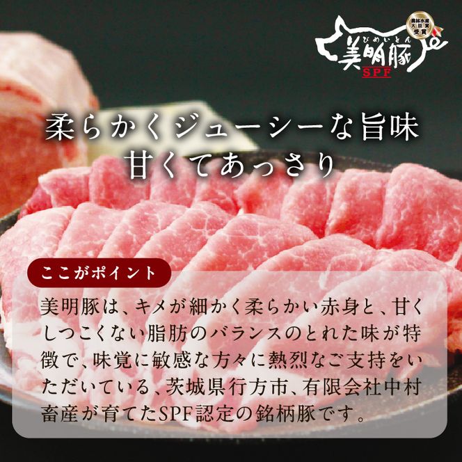 【2026年5月中旬より順次発送】焼売 美明豚「びめいとん」のジューシー焼売2パック（30g×20個×2袋）｜シュウマイ 焼売 美明豚 びめいとん 肉 肉加工品 豚肉 お肉 ジューシー 茨城県 行方市(HJ-1-1)