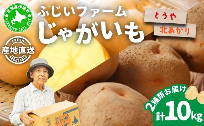 ＜先行予約＞北海道産 じゃがいも2種(とうや/北あかり) 約10kg【55250488】 ジャガイモ 馬鈴薯 ポテト 芋 イモ 野菜 農作物 カレー コロッケ 人気 ふじいファーム