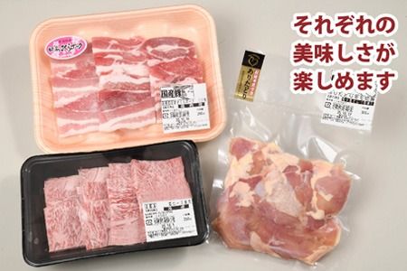 佐賀焼肉セット(牛・鳥・豚) 750g【佐賀県 ブランド肉 佐賀産和牛 肩ロース 柔らかい 霜降り 旨味 ありたどり もも肉 たんぱく質 ビタミンA ビタミンB2 肥前さくらポーク バラ 甘み 豚肉】(H123112)