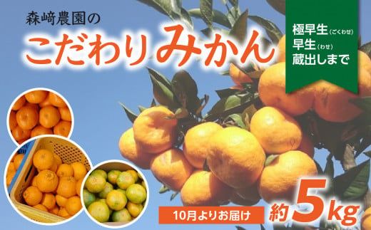 y啪啪szyC09023zX_݂̂@5kg@ɑ` `o܂