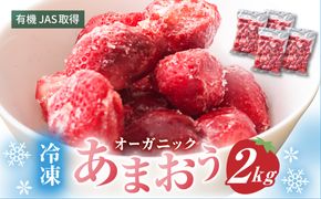 オーガニック冷凍あまおう 「いせいちご」 2kg (500g×4パック)【伊世いちご畑】_HA1316