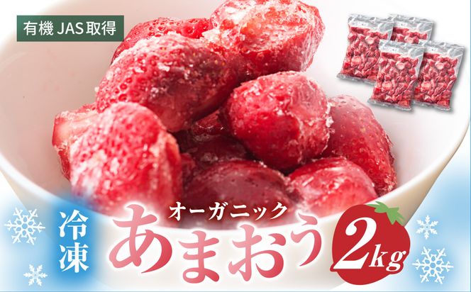 オーガニック冷凍あまおう 「いせいちご」 2kg (500g×4パック)【伊世いちご畑】_HA1316