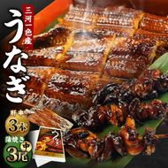三河一色産 うなぎ蒲焼き 中3尾 ＋ 肝串焼き 3本 蒲焼タレ 肝串焼き 鰻 お魚 湯煎 惣菜 セット 簡単調理 冷凍 幸田町 送料無料