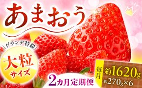 【全2回定期便】【2027年3月初旬より順次発送】あまおう いちご 1620g（約270g×6パック）《築上町》【株式会社HSP-テクノ】【配送不可地域：北海道・沖縄・離島】 いちご 苺 グランデ等級 果物 イチゴ[ABFG004]