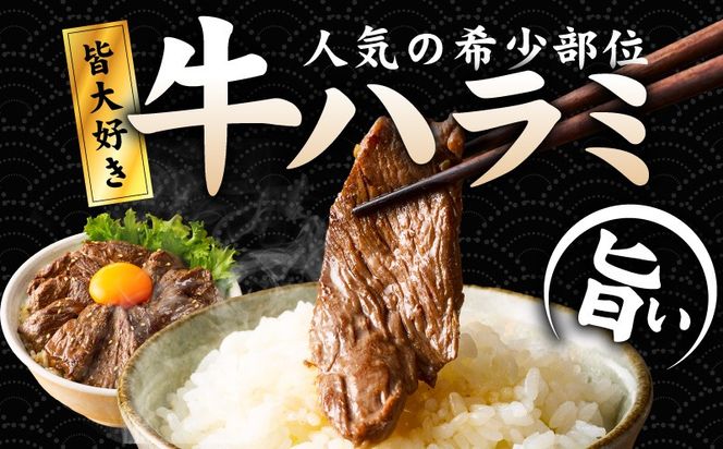 005A776 【満足牛ハラミ】甘辛タレ漬け 400g【味付け ハラミ 小分け 焼くだけ 簡単調理 BBQ 牛肉 200g×2P 普段使い】