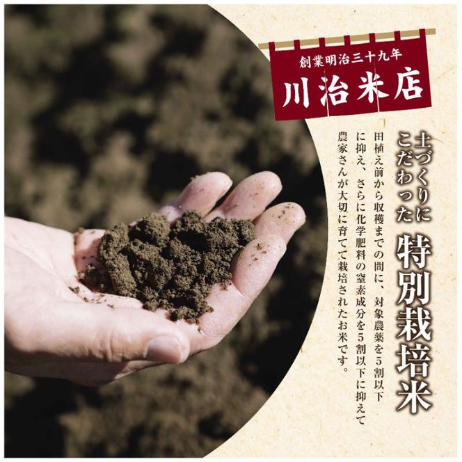 令和7年産 魚沼産 コシヒカリ 特別栽培米 5kg 米 こしひかり お米 コメ 新潟 魚沼 魚沼産 白米 送料無料 新潟県産 精米 産直 産地直送 契約農家 お取り寄せ 魚沼三昧 川治米店 新潟県 十日町市 もちもち 