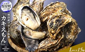 厚岸産ブランドかき カキえもん Lサイズ 15個セット 北海道 牡蠣 カキ かき 生食 生食用 生牡蠣 魚介類