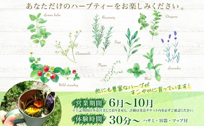 北海道 摘みたて ハーブティー 作り 体験 ハーブ ティー お茶 紅茶 フレッシュ オリジナル ハーブ畑 天然 リラックス 癒し リラクゼーション 健康 ハーバルランチ 送料無料 洞爺湖 