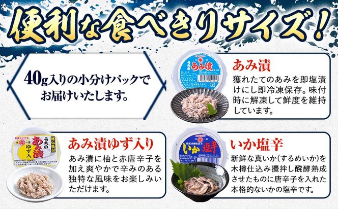 内野海産の海の幸セット 10個入り 《45日以内に出荷予定(土日祝除く)》あみ漬 いか 海苔 佃煮 塩辛 いかすみ---sn_cuchisaci10_45d_r7_11000_400g---