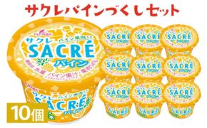 サクレパインづくしセット　10個｜アイス かき氷 シャーベット デザート ※着日指定不可 ※離島への配送不可
