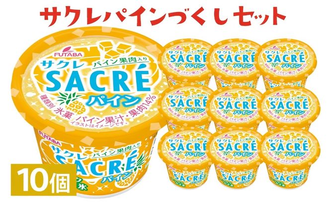 サクレパインづくしセット　10個｜アイス かき氷 シャーベット デザート ※着日指定不可 ※離島への配送不可