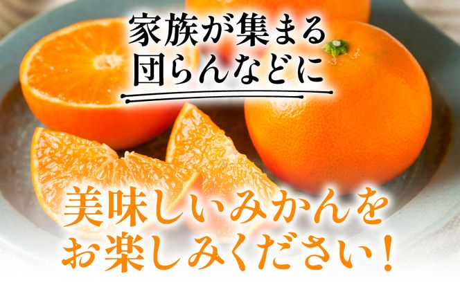 【先行予約】 八代市東陽町産の 「熊本EC12みかん」 約3kg みかん 柑橘 フルーツ 果物 果実 ミカン 蜜柑 熊本県 八代市 【2026年12月上旬より順次発送】