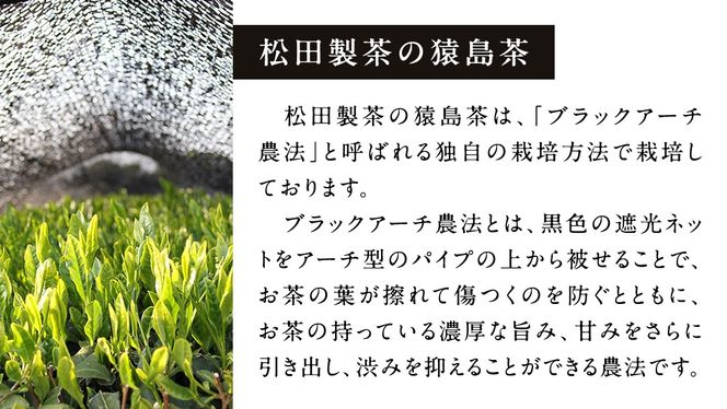 【 選べる内容量 】 あーちくんの緑茶フィにゃんシェ 4個入り or 8個入 フィナンシェ 焼き菓子 お菓子 スイーツ デザート [AF137-138ya]