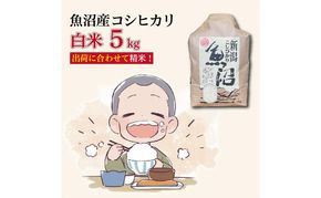 令和7年産 魚沼産コシヒカリ【精米】5kg