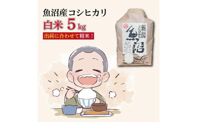 令和7年産 魚沼産コシヒカリ【精米】5kg