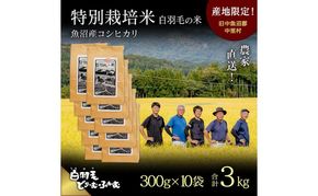 【通年受付】≪令和8年産≫ 農家直送！魚沼産コシヒカリ特別栽培「白羽毛の米」精米 (300g×10袋) 3kg