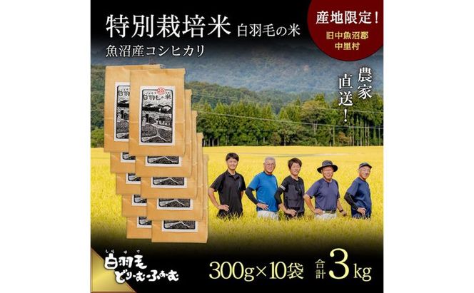 【通年受付】≪令和8年産≫ 農家直送！魚沼産コシヒカリ特別栽培「白羽毛の米」精米 (300g×10袋) 3kg