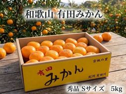 ［秀品・サイズＳ］まる隆果樹園　和歌山有田産！早生みかん≪5ｋｇ≫［予約販売］［数量限定］ CS003