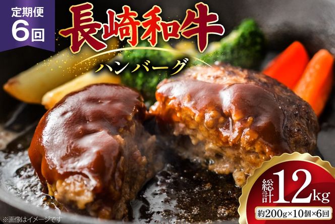 AJ590 【6回定期便】長崎和牛 ハンバーグ 約2kg (200g×10個) [ 肉 牛肉 和牛 おいしい ひき肉 焼くだけ おかず まるしん商会 黒牛 長崎県 島原市 ]