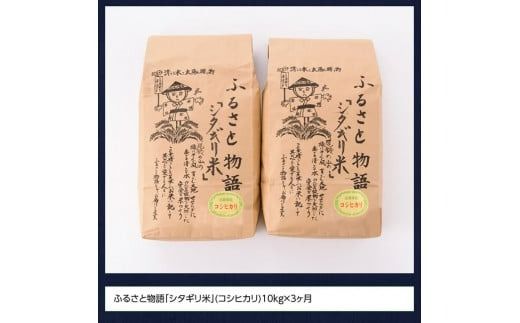 【３ヶ月定期便】※毎月20日頃発送※【令和6年産】宮崎県産こしひかり「シタギリ米」10kg【 お米 新米 2024年産 定期便 全3回 】 [D04202t3]