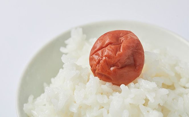 梅干し しそ入り 600g (300g×2袋) 若狭のすっぱい梅干し 紅映梅 うめ ウメ 梅 酸っぱい梅干し 昔ながらの梅干し 昔ながら うめぼし ご飯のお供 ごはんのお供 おにぎりの具 福井 福井県 若狭町