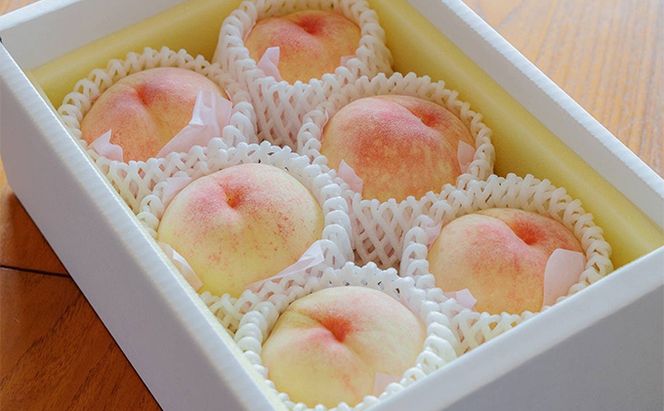 固めの桃 2026年 先行予約 贈答用 岡山の 白桃（晩生種）約1.7kg 4～6玉 岡山県 フルーツ もも 桃 モモ ピーチ 人気 新鮮 フルーツ 桃 フルーツ もも 桃 ギフト くだもの 桃 もも 果物 フルーツ 桃 もも 