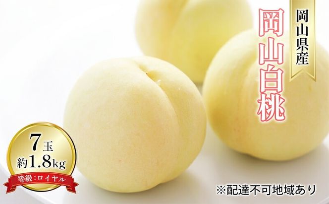 桃 2026年 先行予約 岡山 白桃 7玉 約1.8kg 等級：ロイヤル（1玉 260g以上） もも モモ 岡山県産 国産 フルーツ 果物 ギフト デザート 岡山の桃