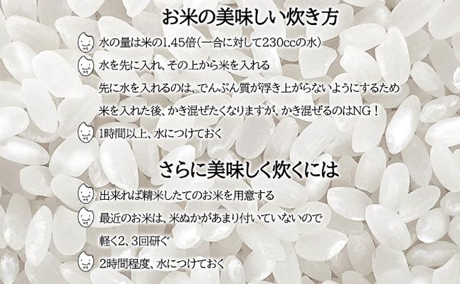 【先行受付】令和8年産 ななつぼし5kg×隔月6回お届け(5kg×1袋×6回) 北海道  特A 精米 米 白米 ご飯 お米 ごはん 国産 ブランド米 おにぎり ふっくら 常温 お取り寄せ 産地直送 農家直送 送料無料 月形