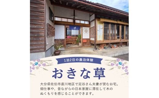 農泊体験・おきな草 ペア1泊2食(ペアチケット) 体験 宿泊体験 チケット 民泊 宿泊 農村 食事付き 大分県 佐伯市【HD241】【さいき本舗 城下堂】