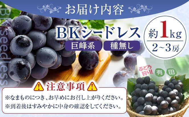 ［先行予約］和歌山 有田産 種なし BKシードレス 約1kg 2～3房 ［2026年8月下旬より順次発送予定］ DU05