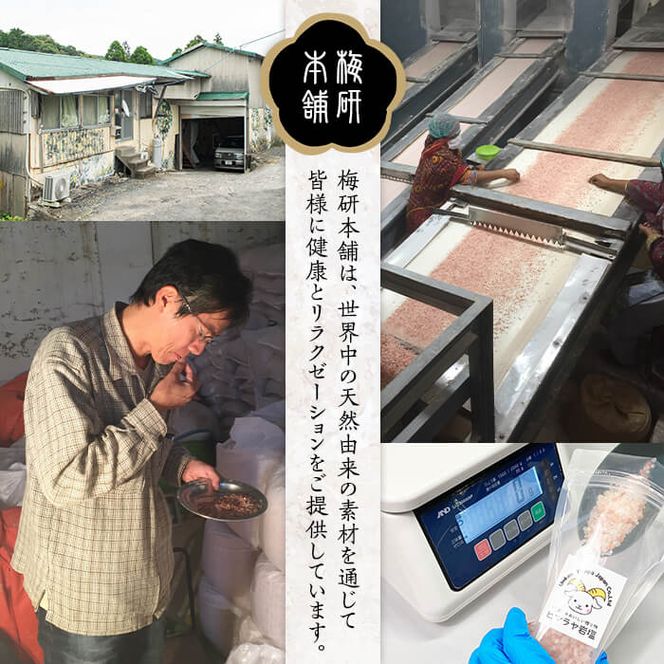 災害用 食塩 ピンク岩塩(あら塩×3袋・100g/袋)  ヒマラヤ岩塩 ピンク岩塩 岩塩 塩 食塩 調味料 ミネラル 熱中症対策 災害用 防災グッズ 災害対策 備蓄 【梅研本舗ジャパン】akn047-08