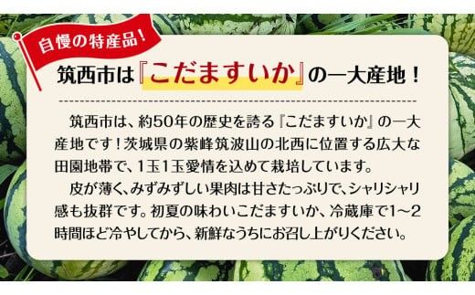 【 JA北つくば 】 こだますいか 「 スウィートキッズ 」 2玉 2026年産 スイカ 果物 フルーツ [AE005ci]