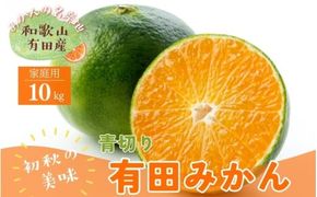 【先行予約】【初秋の美味】【農家直送】有田育ちのご家庭用青切り有田みかん　約10kg+200g(傷み補償分)【2026年9月中旬～10月上旬頃に順次発送予定】【ard046D】